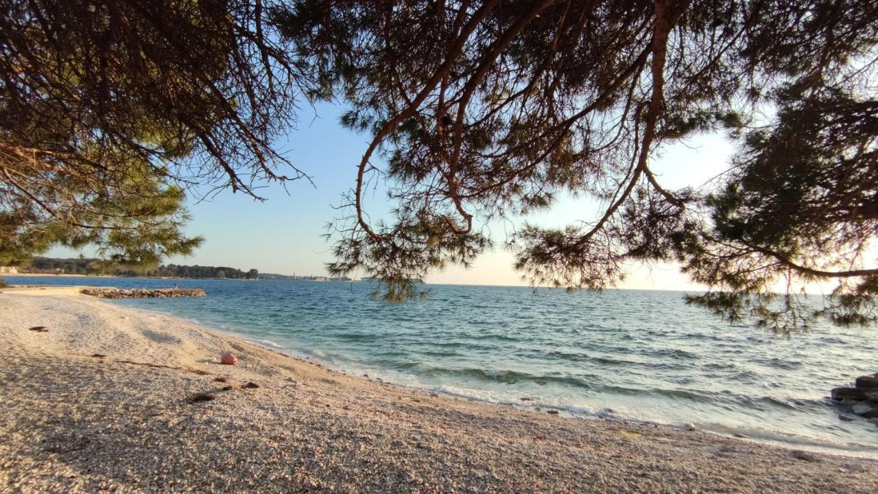 Apartments Marla بوريتش المظهر الخارجي الصورة